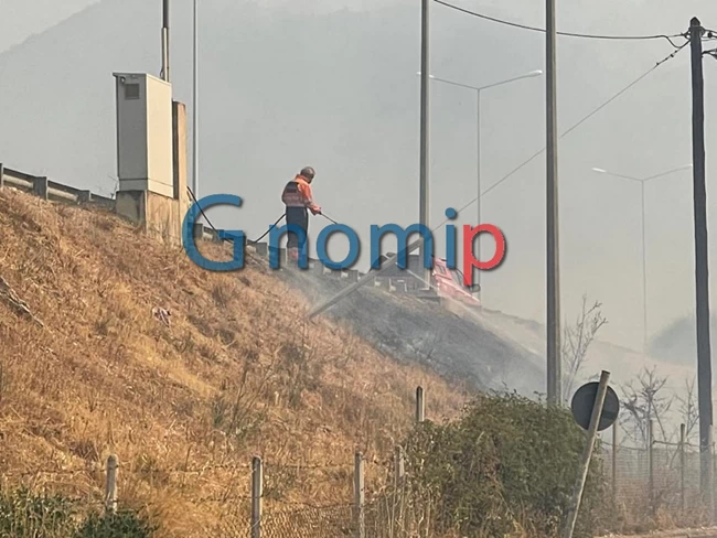 φωτιά Πάτρα