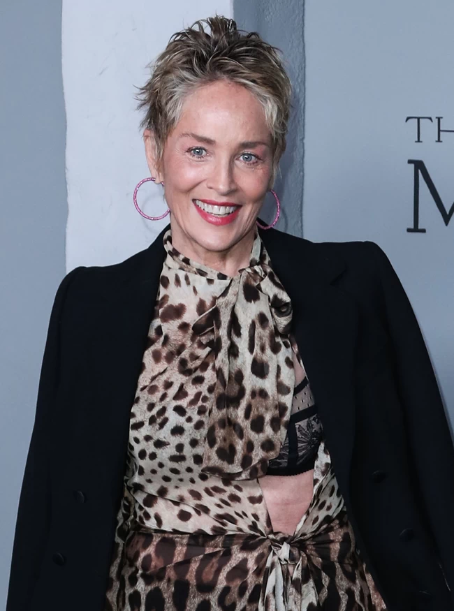 Σάρον Στόουν: Σέξι με animal print φόρεμα Dolce & Gabbana - Ο ανατρεπτικός συνδυασμός
