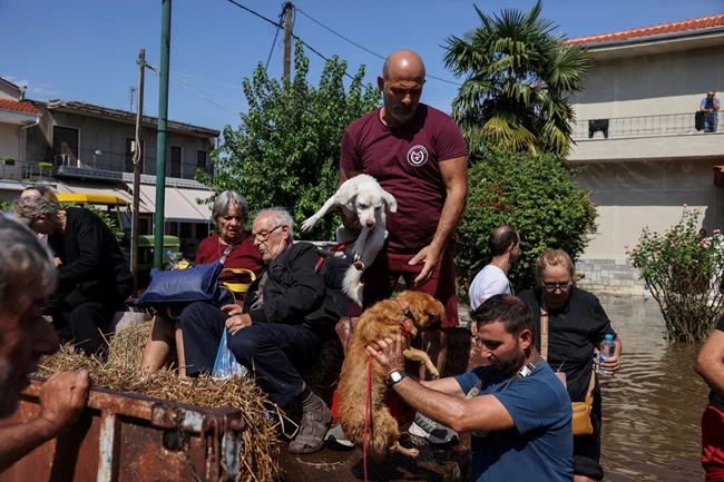 ΑΠΕΓΚΛΩΒΙΣΜΟΙ ΘΕΣΣΑΛΙΑ