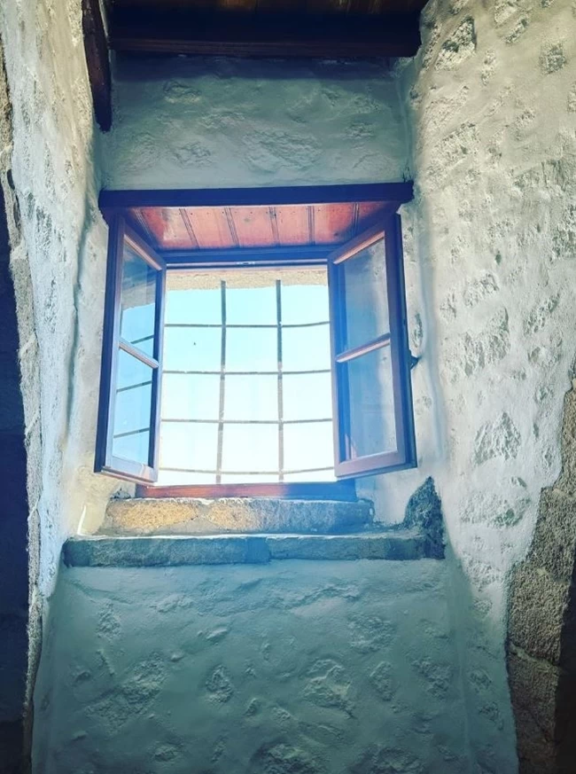 ΤΖΕΝΗ ΜΠΑΛΑΤΣΙΝΟΥ ΠΑΤΜΟΣ