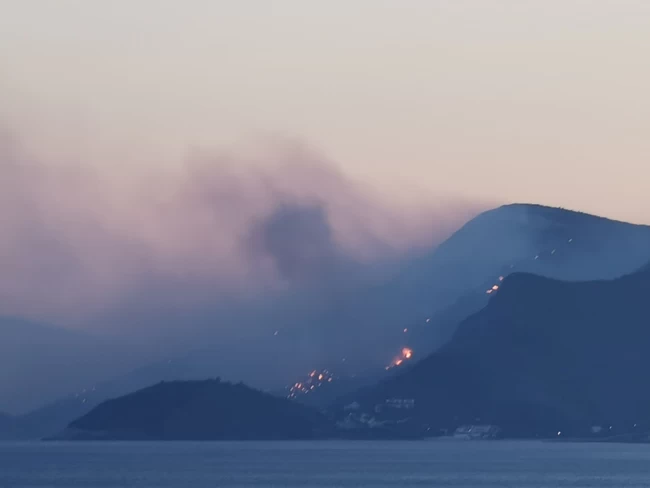 Φωτιά στη Σάμο: Ολονύχτια μάχη με τις φλόγες - Εκκενώθηκαν οικισμοί - Προσπάθεια να περιοριστεί μέχρι το πρωί [Εικόνες - Βίντεο]