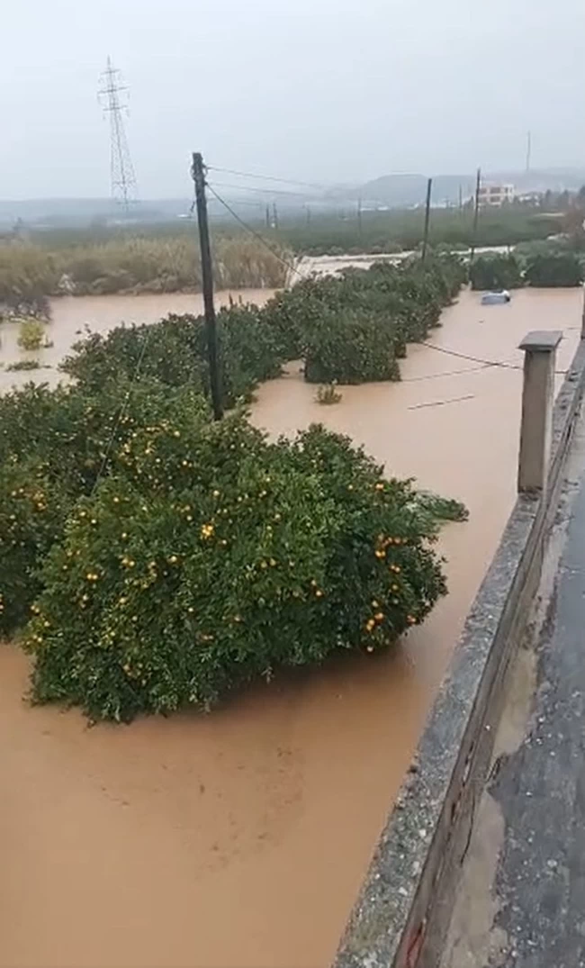 ΛΑΚΩΝΙΑ ΠΛΗΜΜΥΡΑ