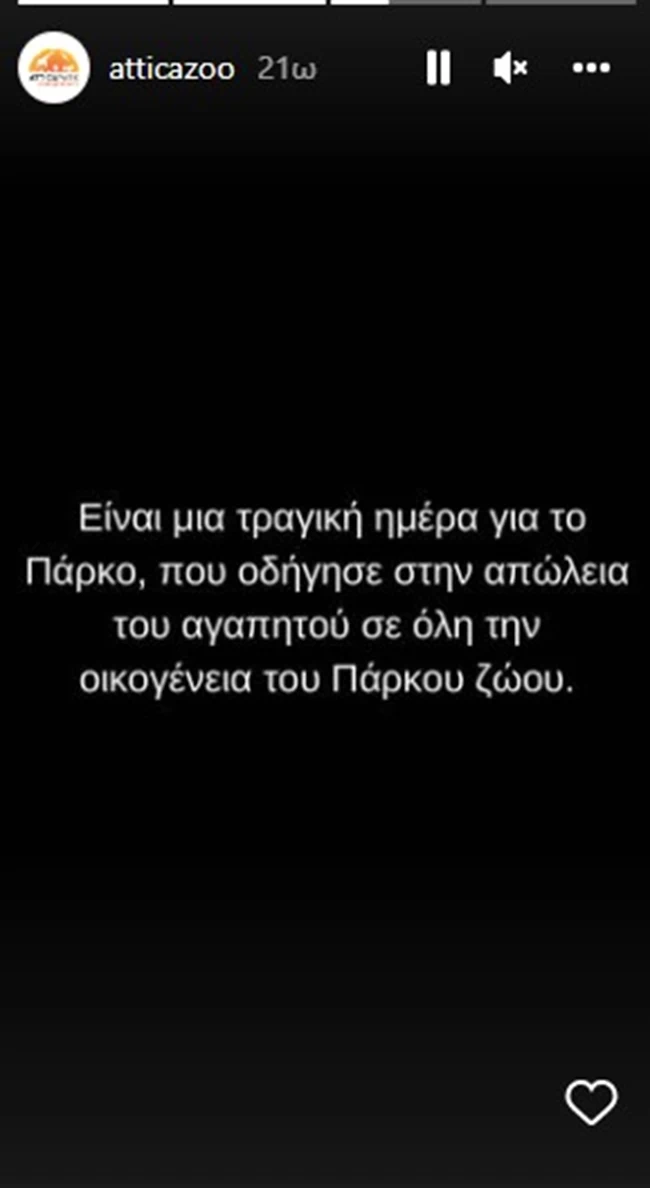 αττικο