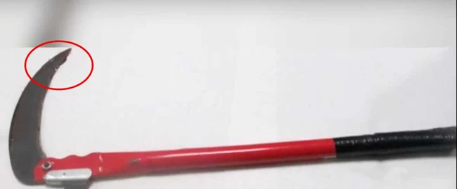 δρεπανι δολοφονια Άλκη