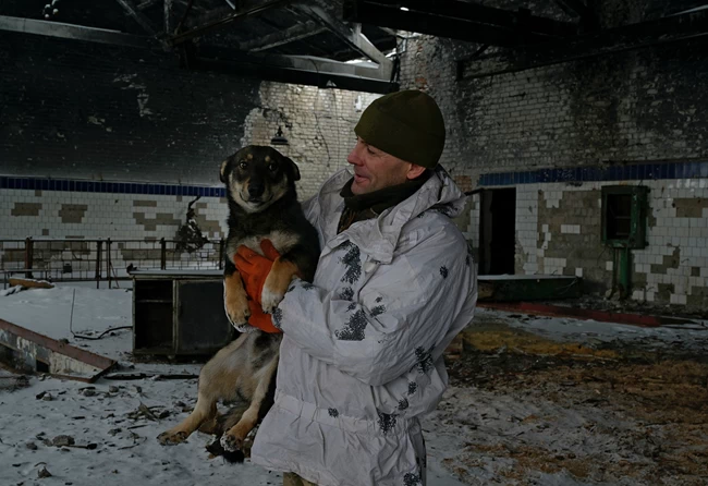 Ουκρανός στρατιώτης σκύλος