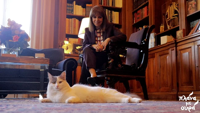 "Πλάνα με ουρά": Η ξεχωριστή εμφάνιση της Κατερίνας Σακελλαροπούλου με τη γάτα Καλυψώ στην εκπομπή της ΕΡΤ [εικόνες - βίντεο]