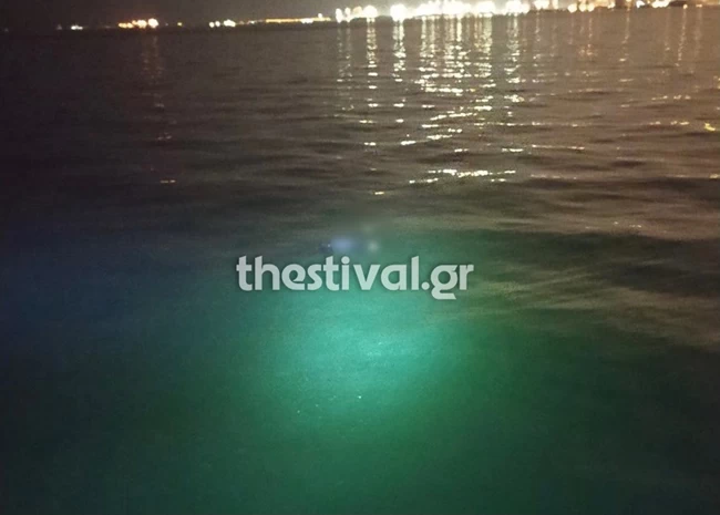 Φρίκη στη Θεσσαλονίκη: Πτώμα ξεβράστηκε στη Νέα Παραλία [Εικόνες-βίντεο]