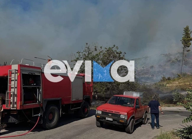 ΦΩΤΙΑ ΕΥΒΟΙΑ ΚΟΝΤΟΔΕΣΠΟΤΙ