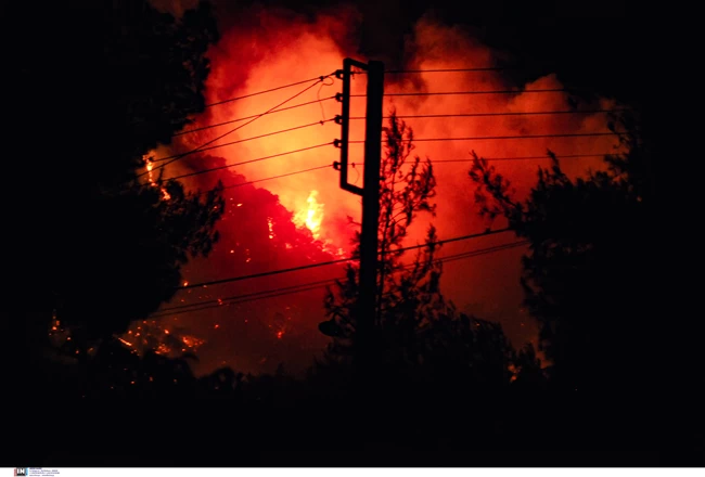 Φωτιά στον Σχίνο Κορινθίας - Αρχηγός πυροσβεστικής: Είναι σε ύφεση - Ζημιές σε σπίτια