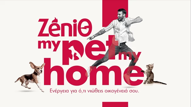 Zenith - My pet home