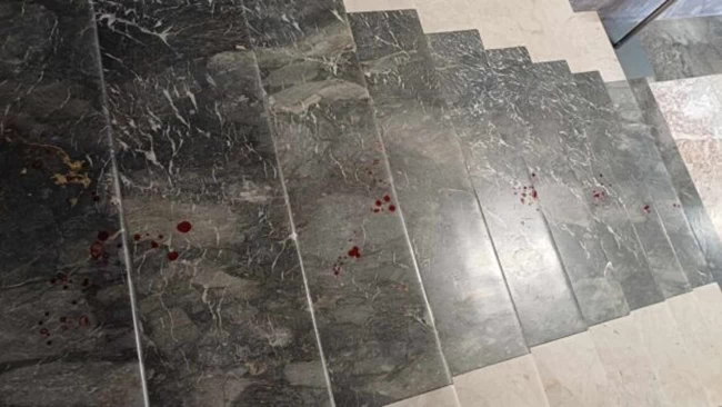 ΡΟΔΟΣ ΕΠΕΙΣΟΔΙΑ