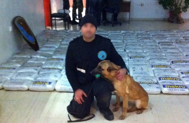 ΗΓΟΥΜΕΝΙΤΣΑ ΣΚΥΛΟΣ ΝΑΡΚΩΤΙΚΑ