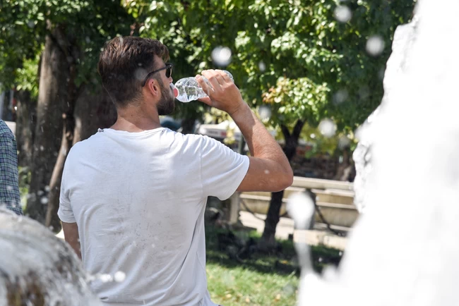 ζεστη