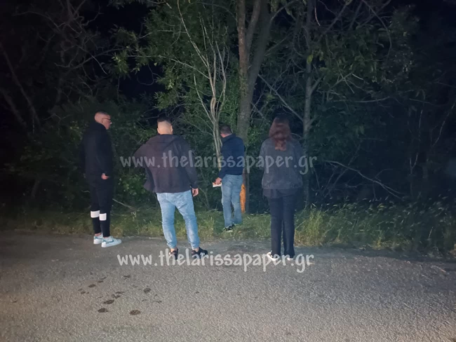Ελασσόνα- μωρό - τροχαίο