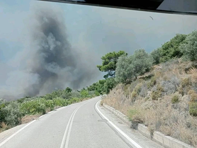 ΦΩΤΙΑ ΡΟΔΟΣ