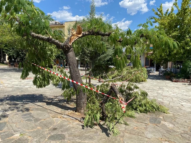 ΑΝΕΜΟΣΤΡΟΒΙΛΟΣ ΚΑΛΑΜΑΤΑ