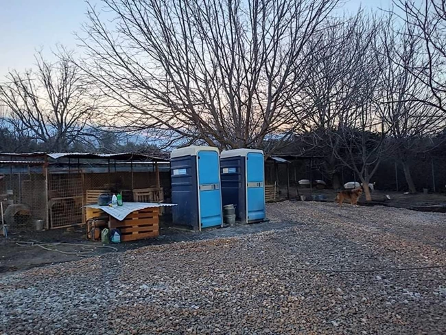 κυνοκομείο Σπάρτης