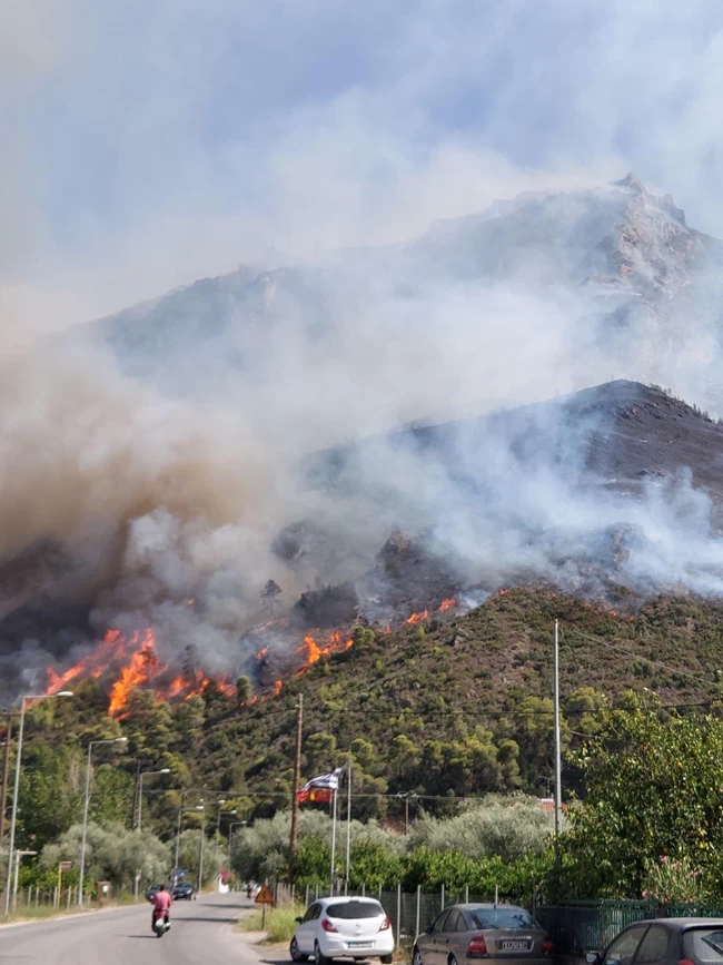 Φωτιά στο Αίγιο: Μήνυμα από το 112 για εκκένωση του οικισμού Κάστρο - (Βίντεο)