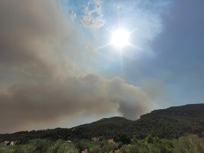 Φωτιά Βαρυμπόμπη