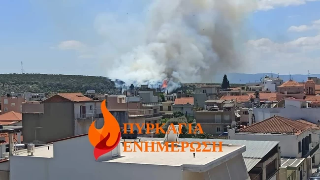 ευβοια φωτιά