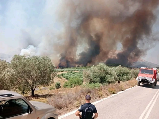 ΦΩΤΙΑ ΡΟΔΟΣ