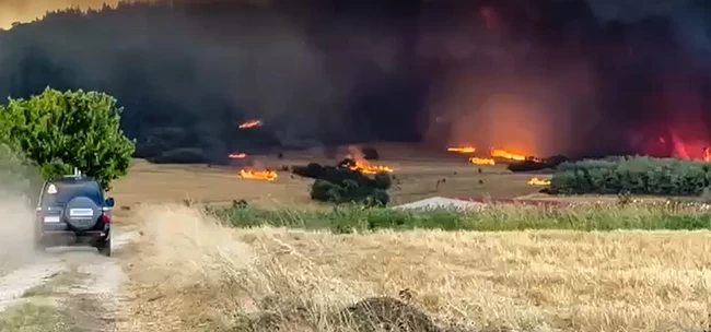 φωτια Αλεξανδρουπολη