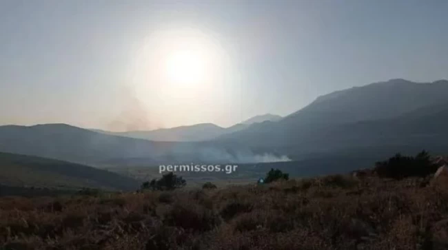 ΦΩΤΙΑ ΒΟΙΩΤΙΑ