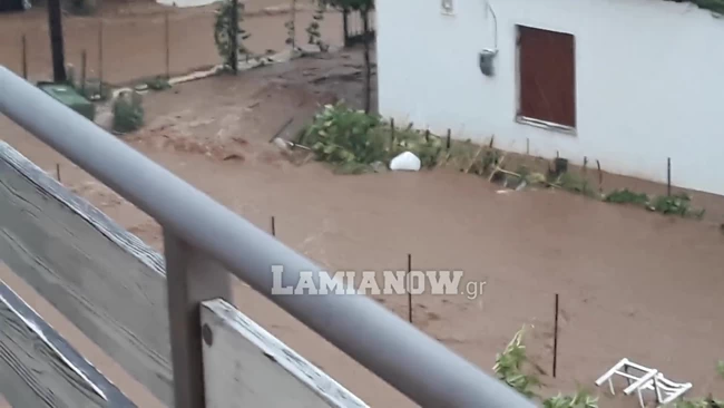 Λιανοκλάδι Ιανός
