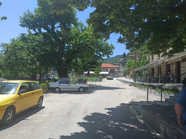 Χρυσοβίτσα κηδεία