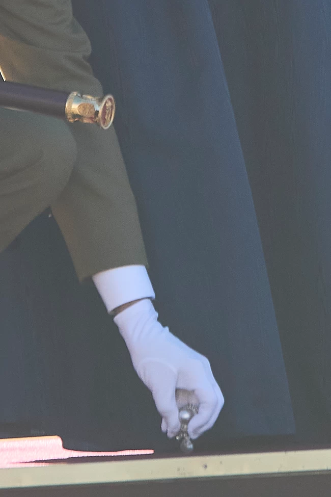 queen letizia