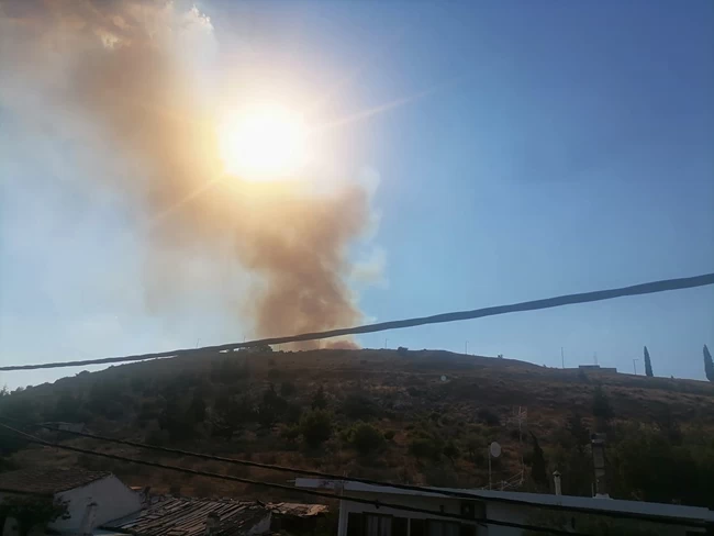 φωτιά Μάνδρα