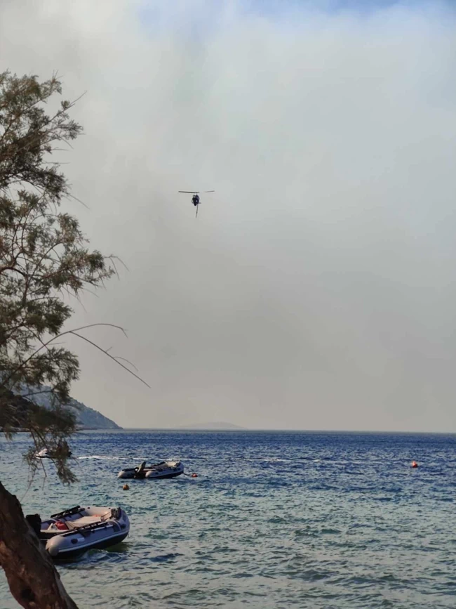 ΦΩΤΙΑ ΒΟΙΩΤΙΑ