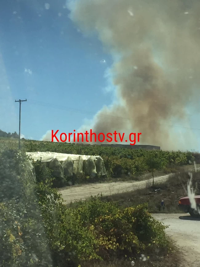 ΦΩΤΙΑ ΚΟΡΙΝΘΙΑ