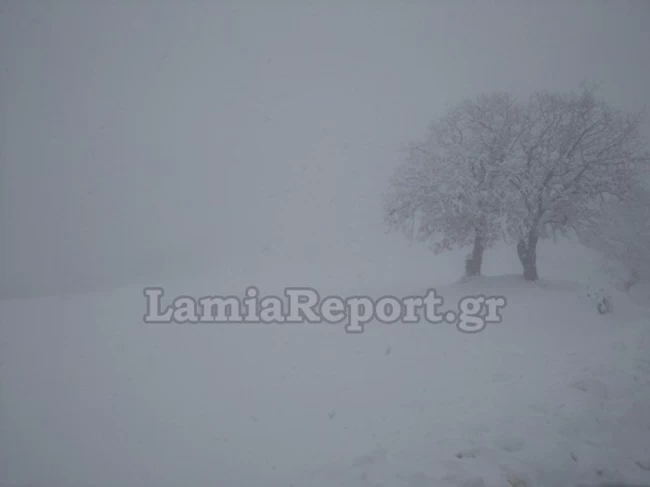 χιόνι καμένα βούρλα