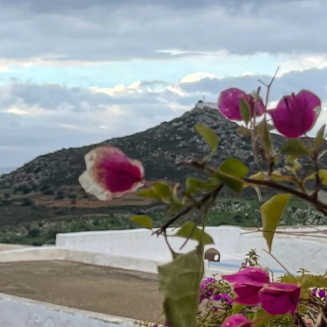 Μπαλατσινού