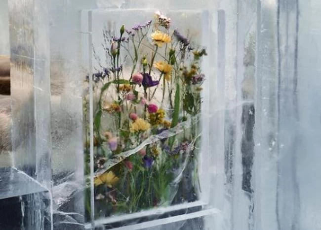 icehotel