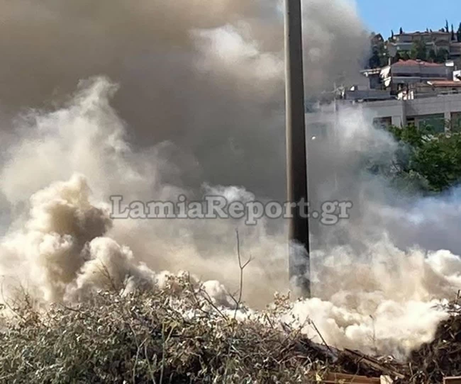 Λαμία: Μάχη με τις φλόγες μέσα στην πόλη - Άμεση κινητοποίηση της Πυροσβεστικής