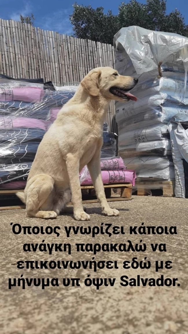 λεωνίδας κουτσοπουλος