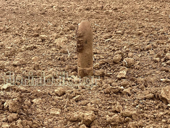 οβιδα