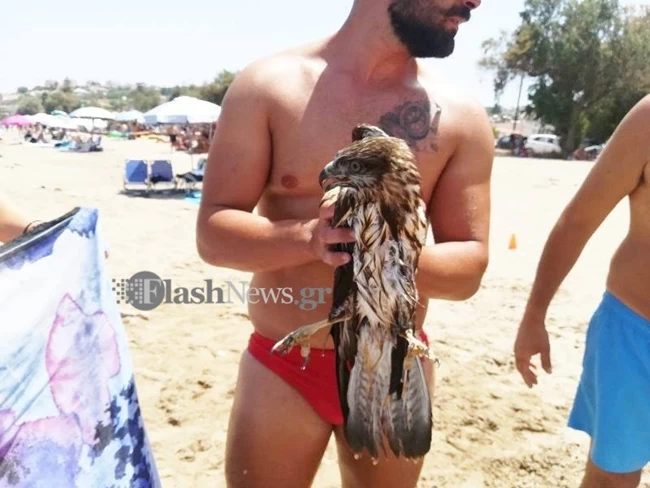 Κρήτη