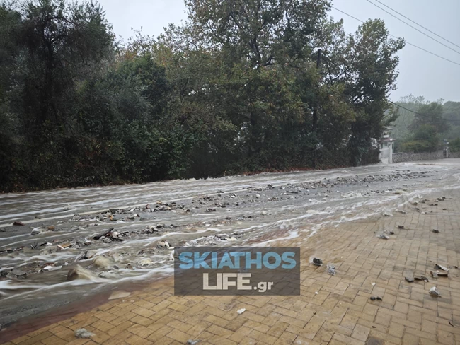 ΣΚΙΑΘΟΣ ΠΛΗΜΜΥΡΕΣ