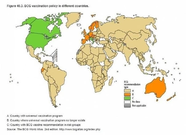 Χάρτης Φυματίωση
