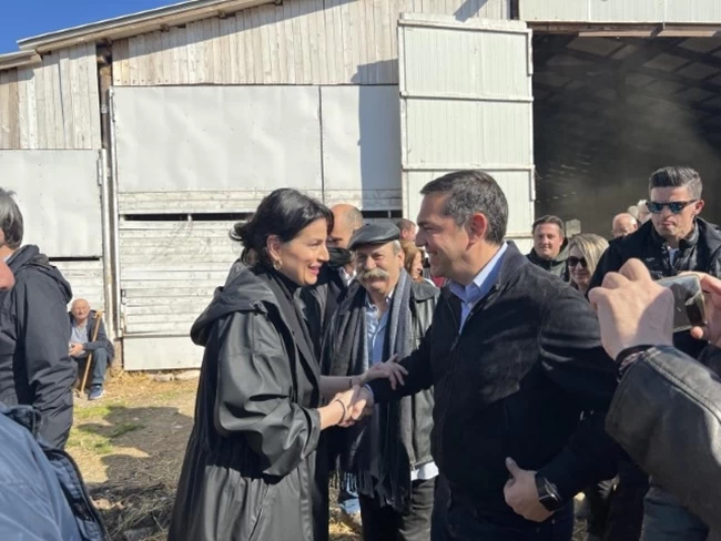 ΤΣΙΠΡΑΣ ΤΡΙΚΑΛΑ