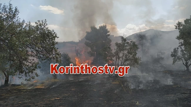 Κόρινθος_Κεχριές_Φωτιά