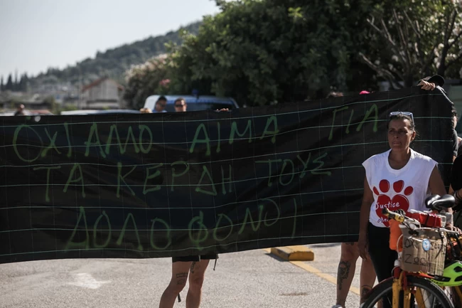ΧΙΜΠΑΤΖΗΣ ΔΙΑΜΑΡΤΥΡΙΑ