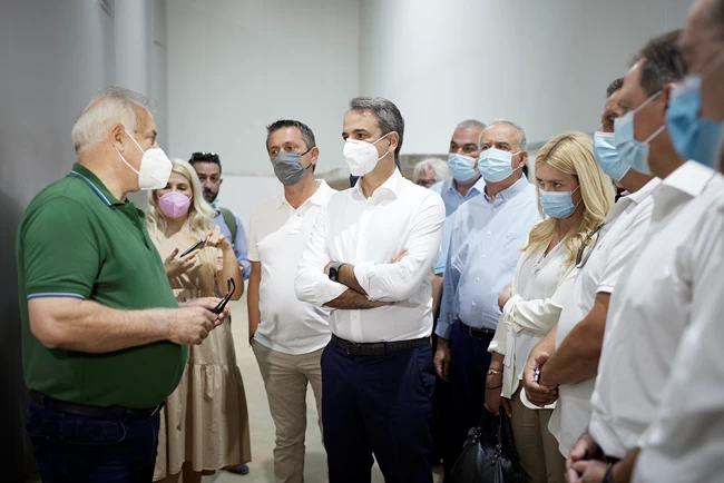 Μητστάκης Ελαιοπαραγωγοί Μεσσηνία