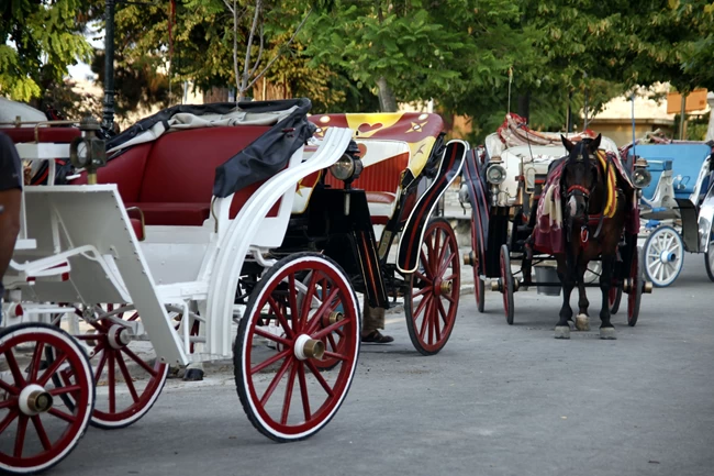 Κέρκυρα: Συνελήφθη ο ιδιοκτήτης του αλόγου που ξεψύχησε στο δρόμο - Του επιβλήθηκε πρόστιμο 30.000 ευρώ