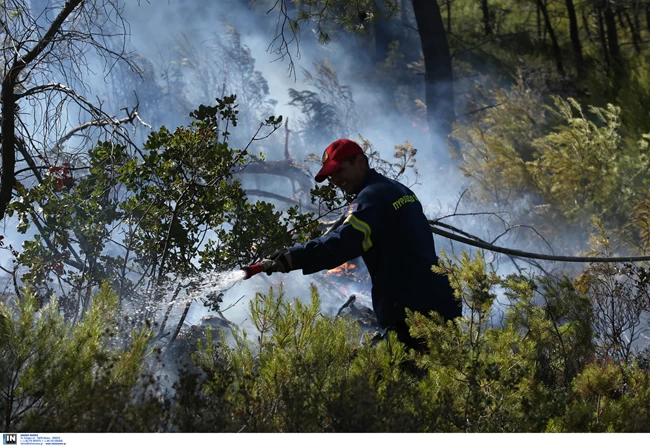 Χωρίς ενεργό μέτωπο η πυρκαγιά στη Νέα Μάκρη - Υπό μερικό έλεγχο αυτή στο ρέμα Κοκκιναρά