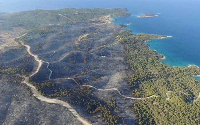 Δάσος στο Πόρτο Χέλι