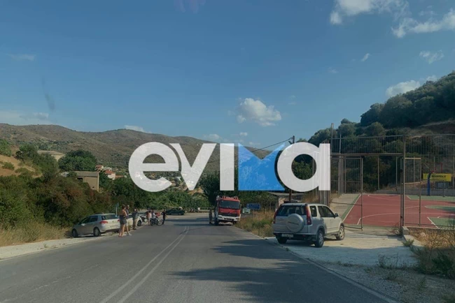 εύβοια φωτιά